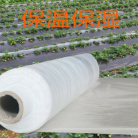白色地膜保温保湿农用膜混凝土吹塑膜黑地膜果园农资蔬菜大棚