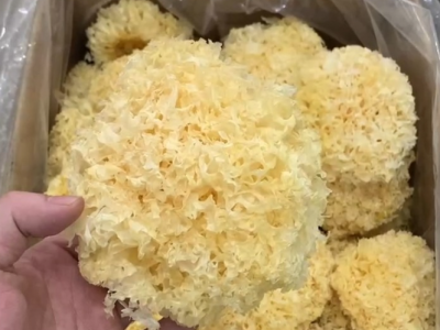 大花银耳糯耳雪耳干货土特产菌菇
