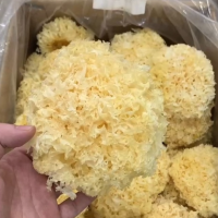 大花银耳糯耳雪耳干货土特产菌菇