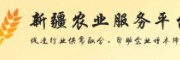 新疆农业服务平台