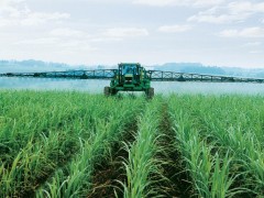 全国两会“三农”热词网友谈