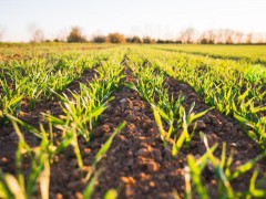 2025年文化赋能乡村全面振兴十项重点工作