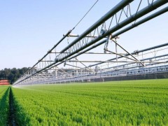 农业资讯 | 粮食高位丰收的“农科密码”